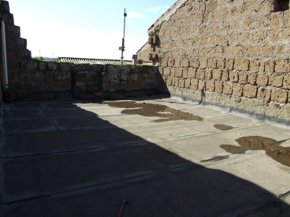 DSCF5168 (FILEminimizer).JPG